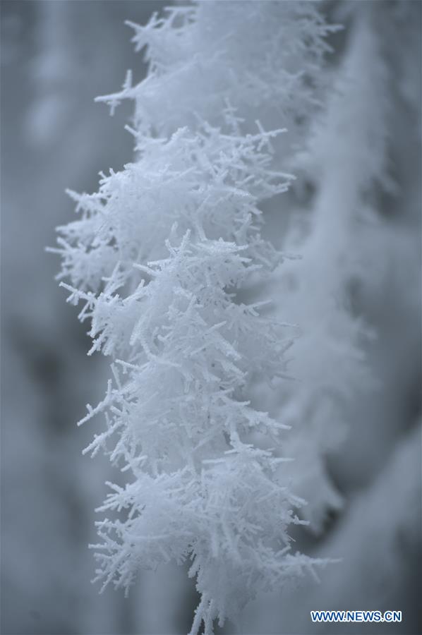 #CHINA-WINTER-RIME (CN)