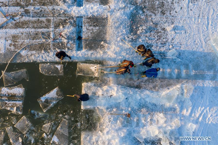 #CHINA-HARBIN-ICE COLLECTING (CN)