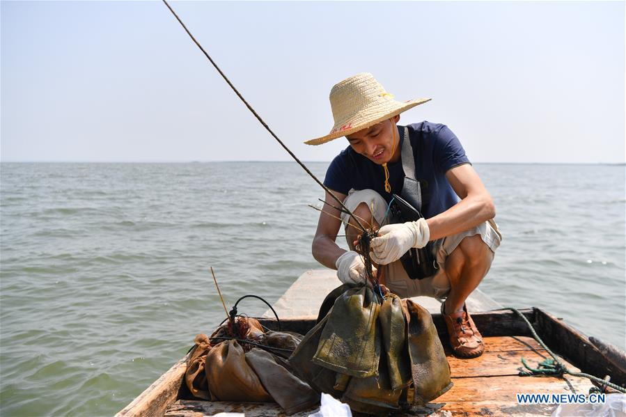 CHINA-HUNAN-DONGTING LAKE-ENVIROMENT PROTECTION