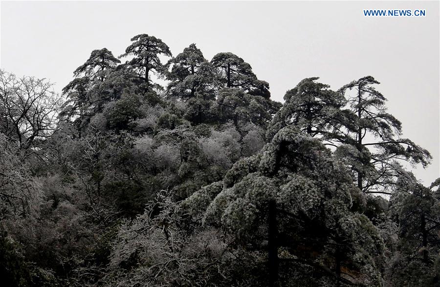 #CHINA-ANHUI-HUANGSHAN MOUNTAIN-SCENERY (CN)