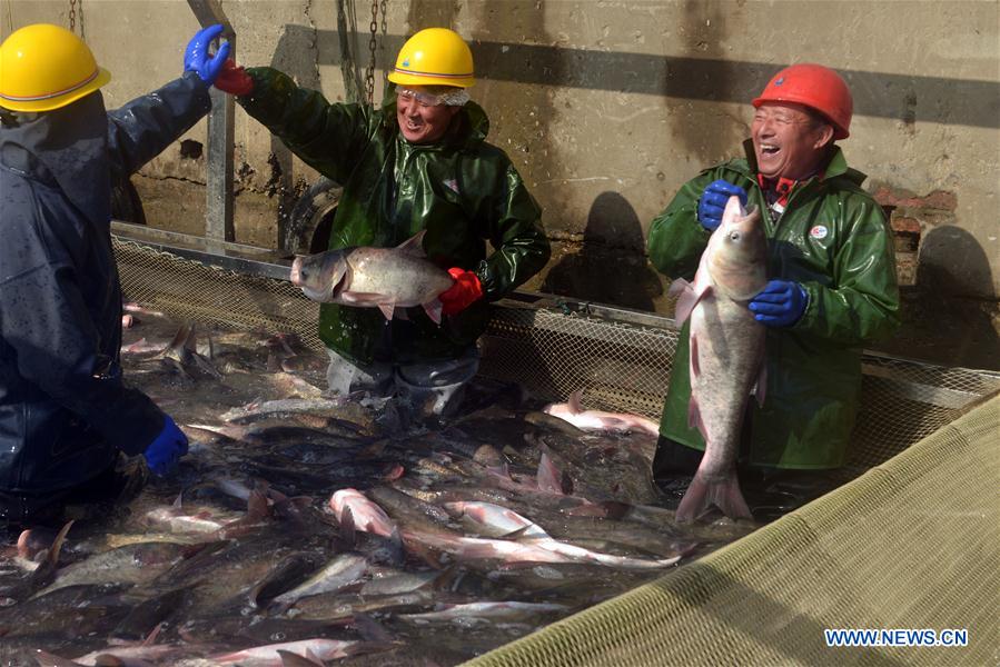 #CHINA-ANHUI-FISHING (CN)