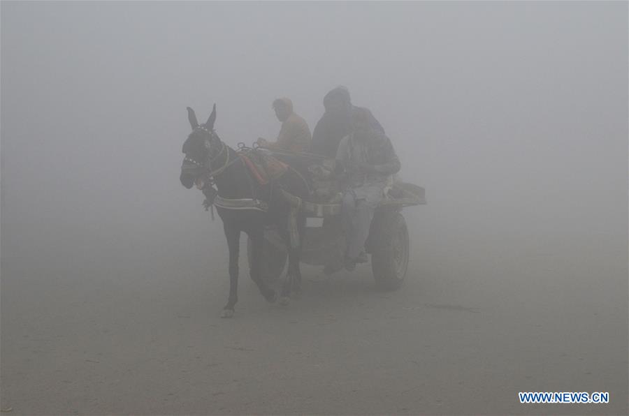 PAKISTAN-LAHORE-FOG