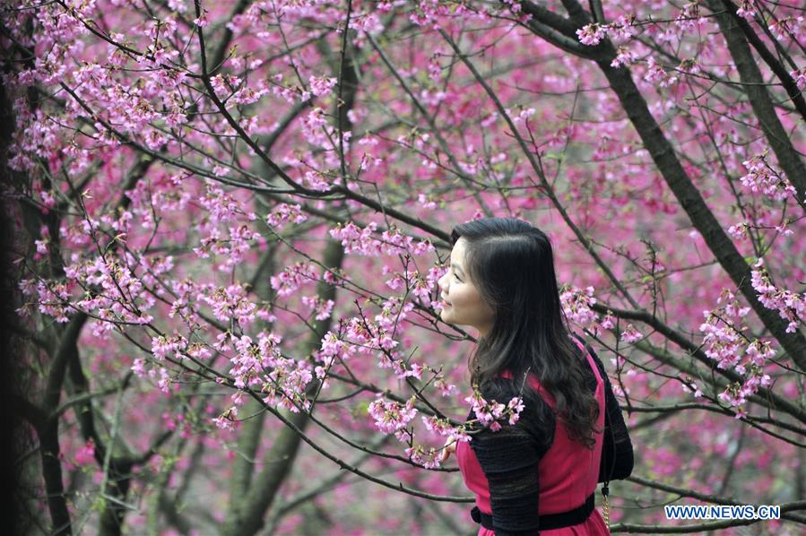 #CHINA-SPRING FESTIVAL-LANDSCAPE (CN)