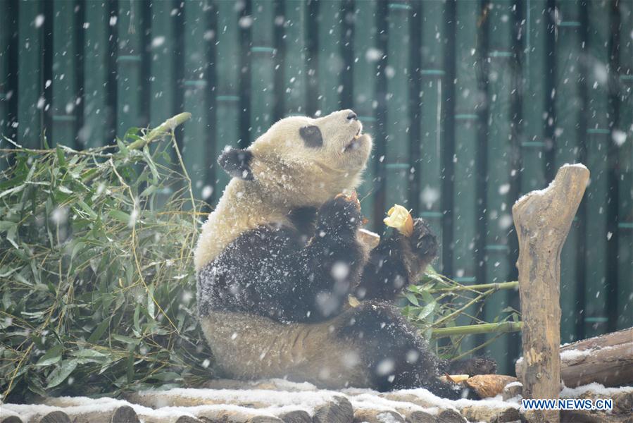 XINHUA PHOTOS OF THE DAY