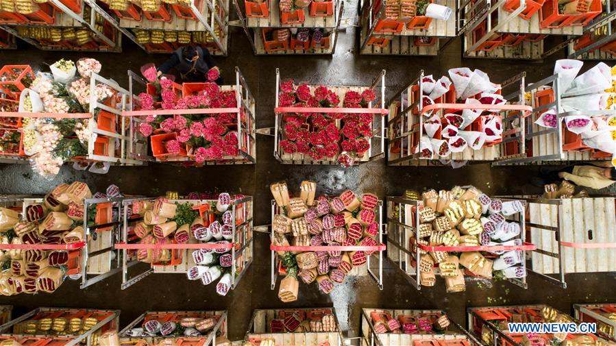 CHINA-YUNNAN-THAILAND-BANGKOK-FLOWER TRADE