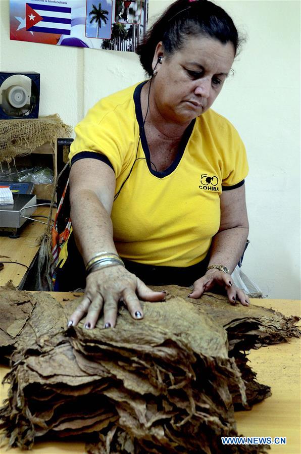 CUBA-HAVANA-FACTORY-CIGAR