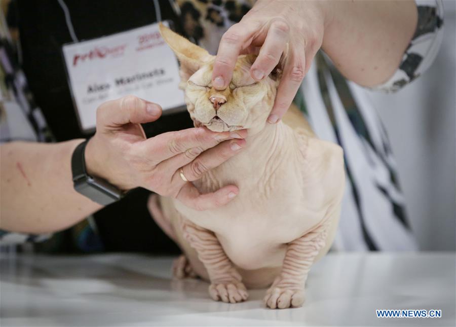 CANADA-VANCOUVER-CAT SHOW