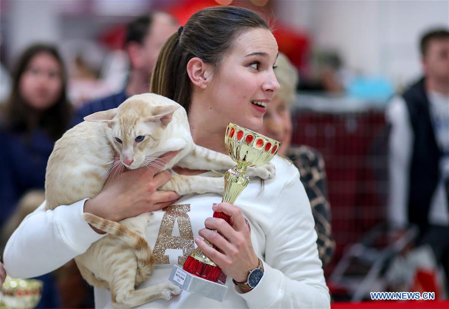 CROATIA-ZAGREB-INTERNATIONAL CAT EXHIBITION