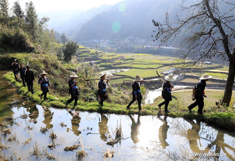 CHINA-GUIZHOU-LIPING-TREE PLANTING (CN)