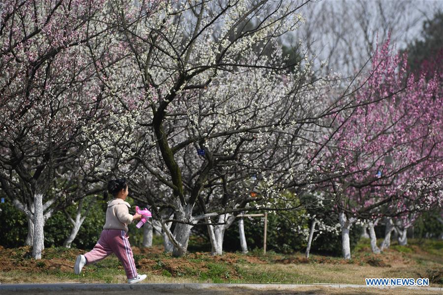 CHINA-ANHUI-HEFEI-SPRING-SCENERY (CN)