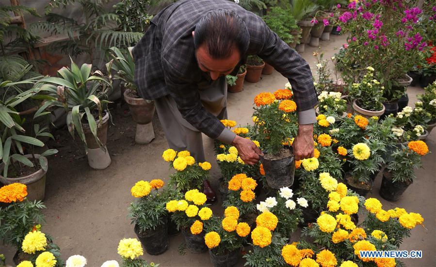 AFGHANISTAN-KABUL-FLOWER SHOP