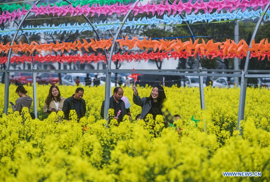 ZHEJIANG-HUZHOU-COLE FLOWER-TOURISM FESTIVAL (CN)