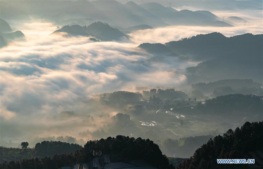 #CHINA-CHONGQING-WEATHER-FOG (CN)