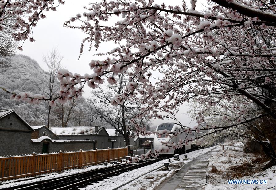 #CHINA-BEIJING-SNOWY SCENERY (CN)