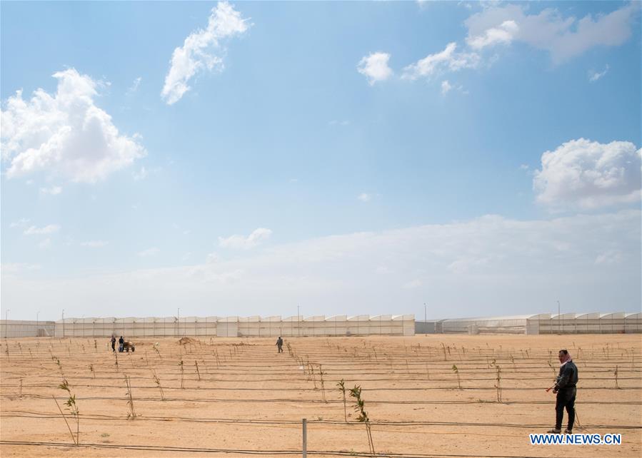 EGYPT-SHARQIYA-CHINA-PROJECT-GREENHOUSE TECHNOLOGY