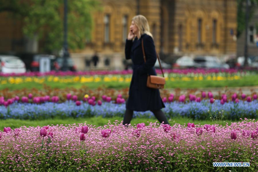 CROATIA-ZAGREB-SPRING-FLOWERS