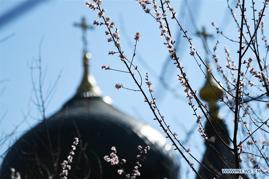 CHINA-HARBIN-SPRING (CN)