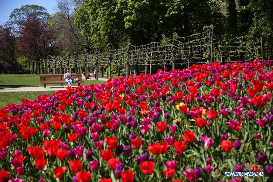 BELGIUM-BRUSSELS-CINQUANTENAIRE PARK