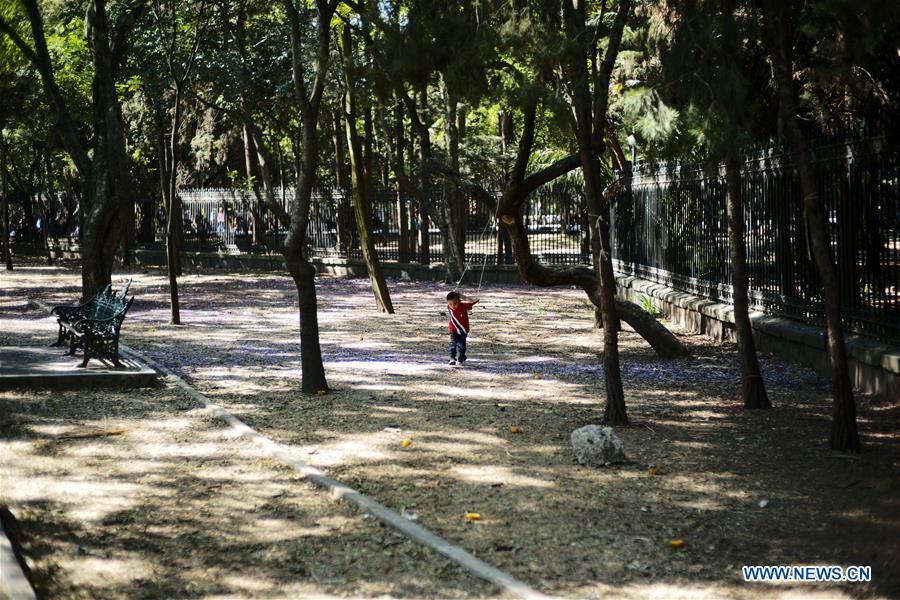 MEXICO-MEXICO CITY-PARK