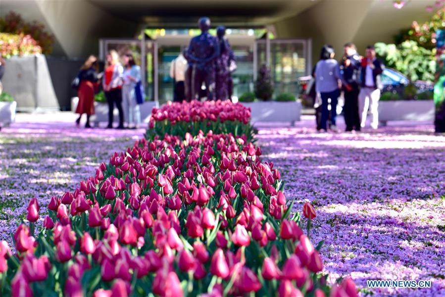 SWITZERLAND-GENEVA-FLOWERS