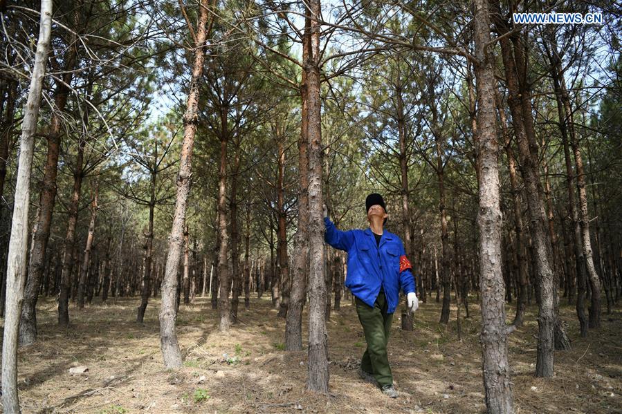 CHINA-HEILONGJIANG-YUANBAO VILLAGE-CHANGES (CN)