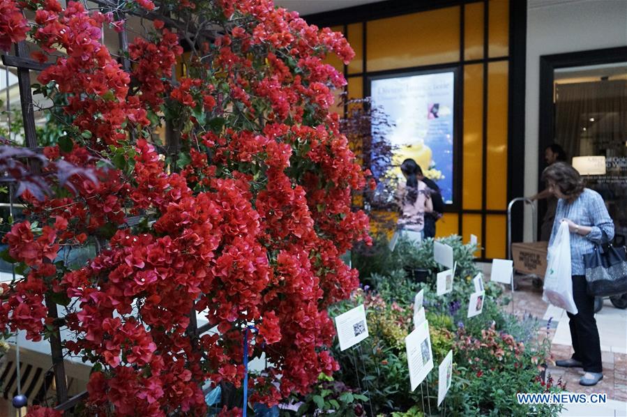 U.S.-COSTA MESA-SPRING GARDEN SHOW