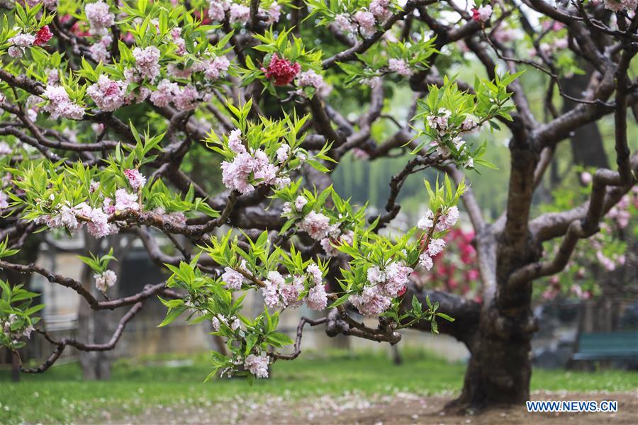 CHINA-BEIJING-SUMMER PALACE(CN)