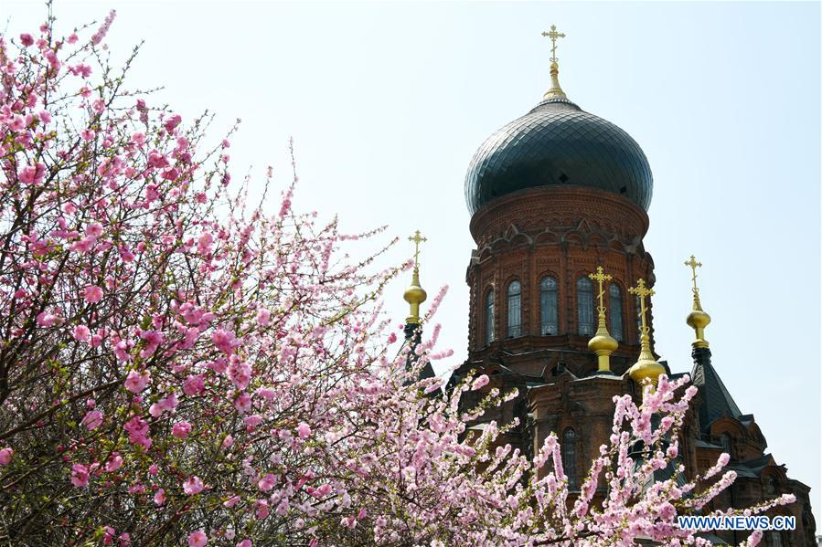 CHINA-HEILONGJIANG-HARBIN-CATHEDRAL (CN)