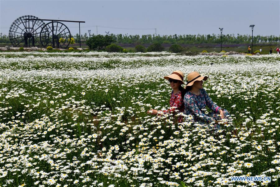 CHINA-SHANDONG-ANQIU-CULTURAL CREATIVITY INDUSTRIAL PARK (CN)