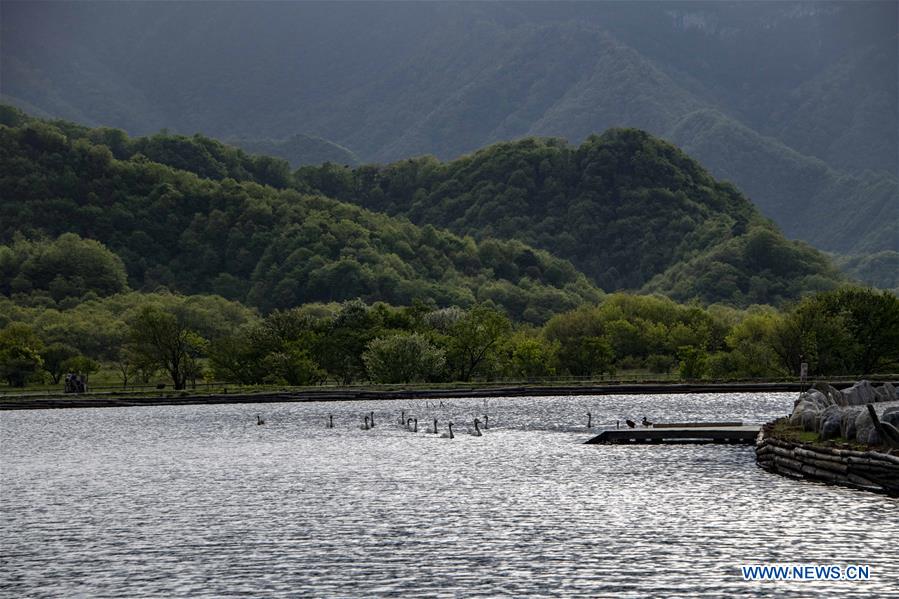 CHINA-HUBEI-SHENNONGJIA-SCENERY (CN)