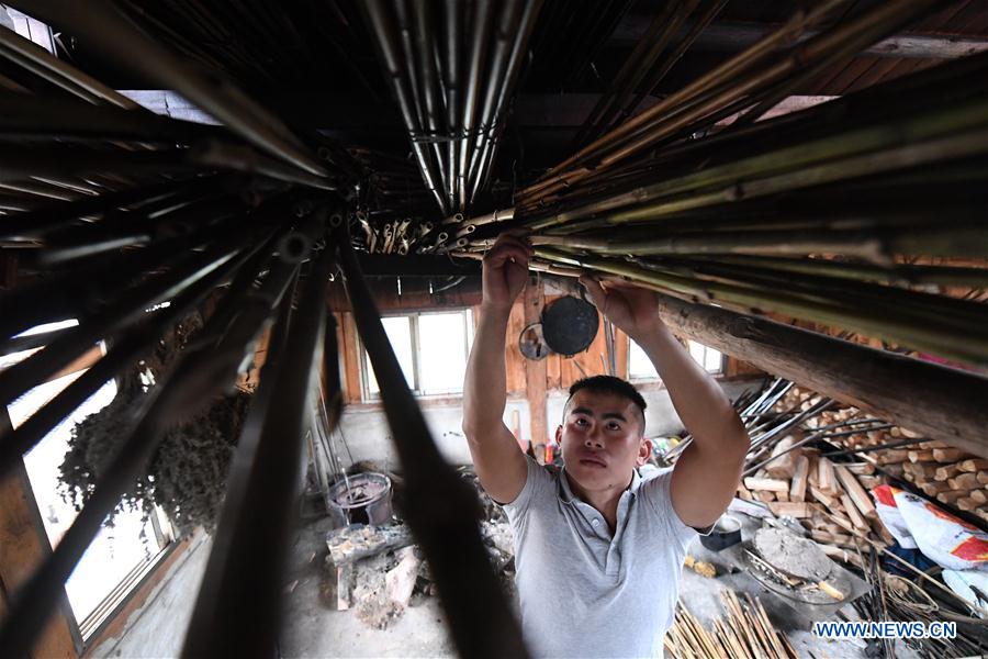 CHINA-GUANGXI-INSTRUMENT-LUSHENG-MAKING (CN)