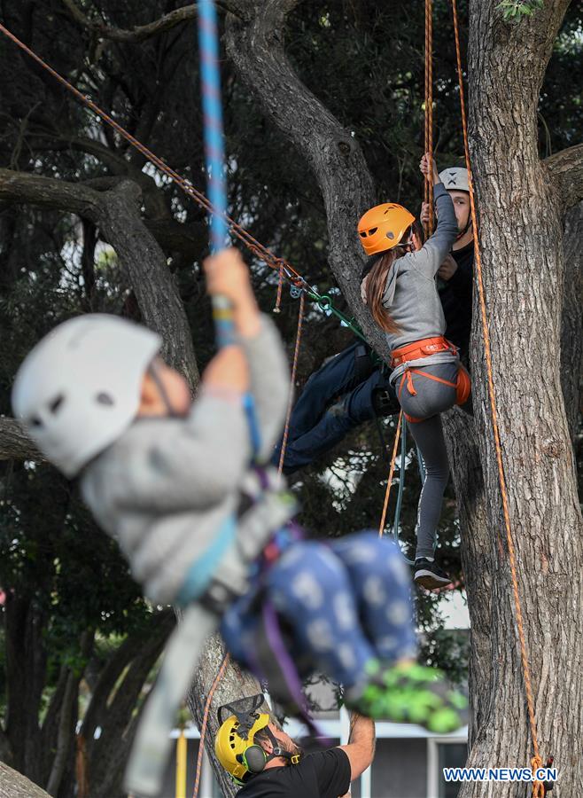 NEW ZEALAND-WELLINGTON-TREE CLIMBING COMPETITION