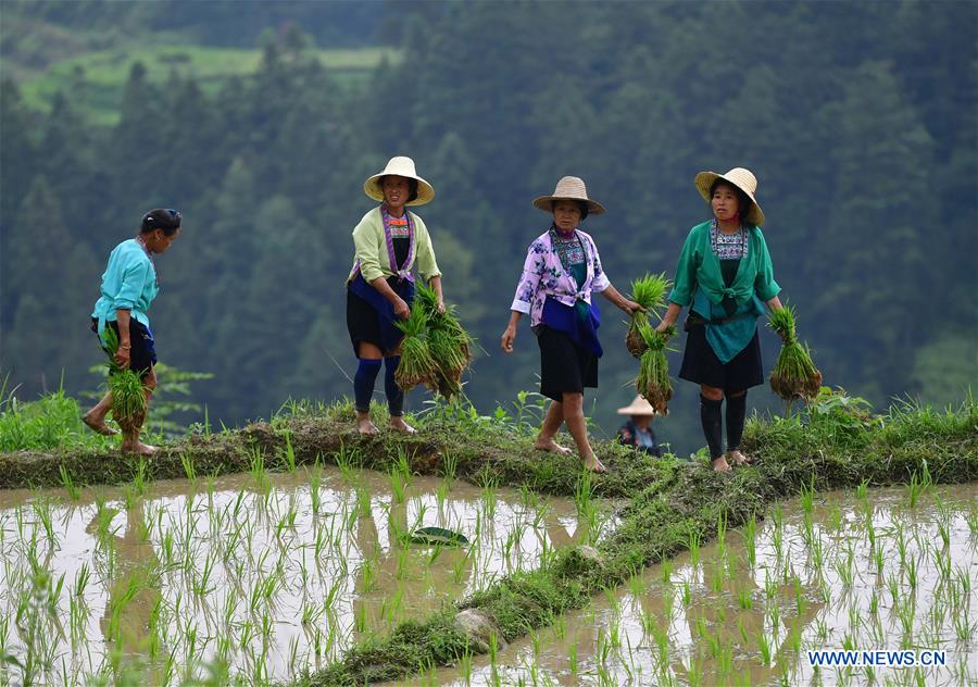 CHINA-GUANGXI-RONGSHUI-POVERTY ALLEVIATION (CN)