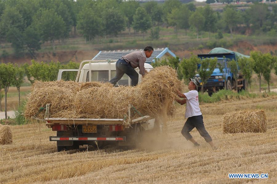 #CHINA-WHEAT STRAW-RECYCLING (CN)