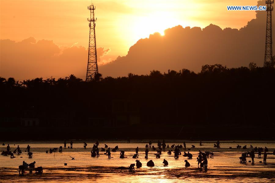 XINHUA PHOTOS OF THE DAY