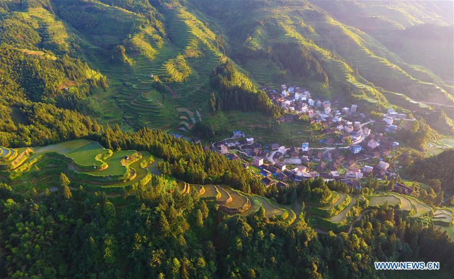 (EcoChina)CHINA-HORTICULTURAL EXPO-GUANGXI (CN)