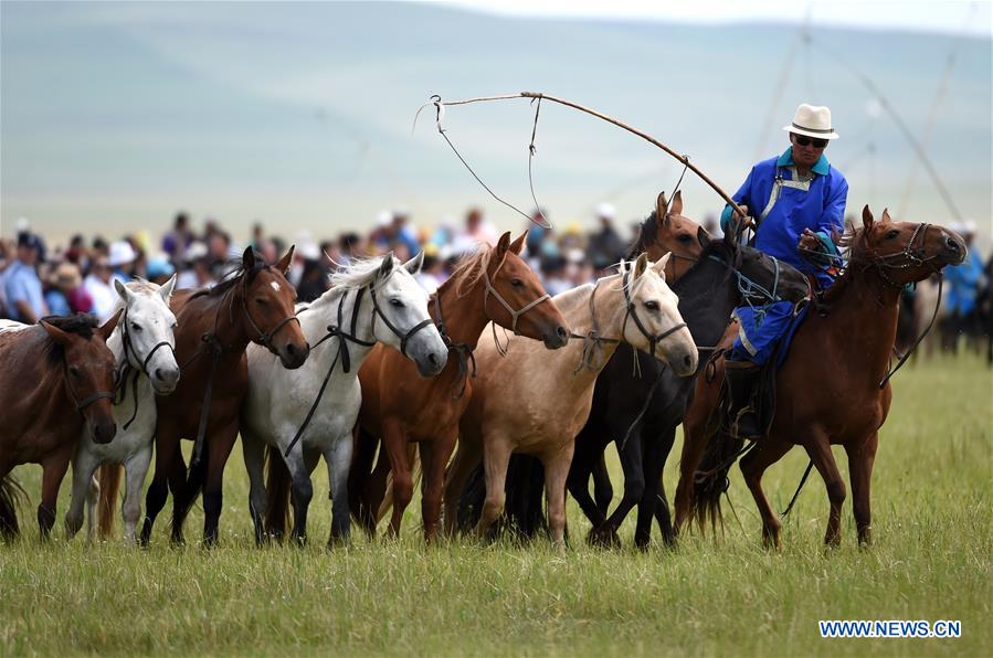 CHINA-INNER MONGOLIA-HORSE-EQUINE CULTURE-EVENT (CN)