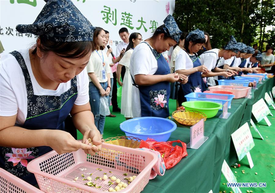 CHINA-FUJIAN-WUYISHAN-LOTUS FESTIVAL (CN)