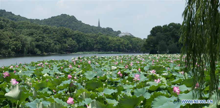 CHINA-ZHEJIANG-HANGZHOU-HEAT WAVE (CN)