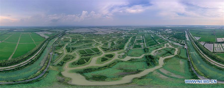 CHINA-JIANGSU-HONGZE LAKE (CN)