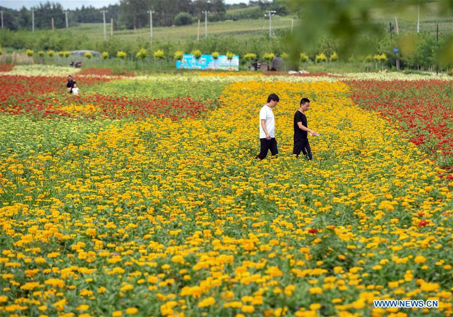 CHINA-JILIN-CHANGCHUN-SCENERY (CN)