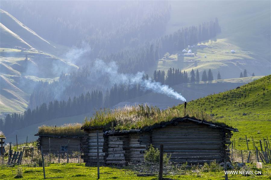 CHINA-XINJIANG-TEKES-KARADALA-LIFE (CN)