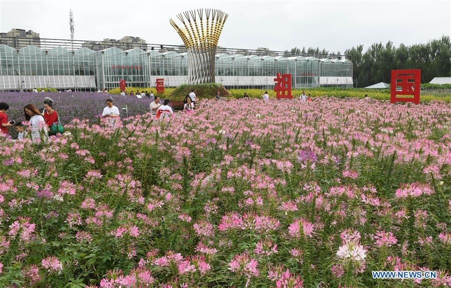 CHINA-JILIN-CHANGCHUN-AGRICULTURE EXPO (CN)