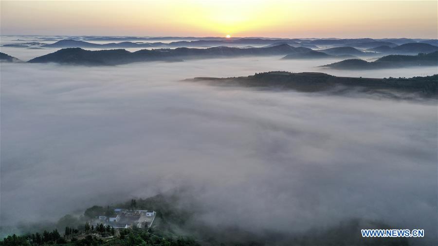 CHINA-SHAANXI-YAN'AN-GRAIN FOR GREEN (CN)