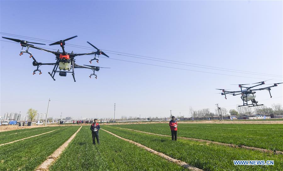 CHINA-RURAL DEVELOPMENT (CN)