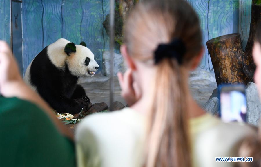 CHINA-HAIKOU-MID-AUTUMN FESTIVAL-PANDA (CN)