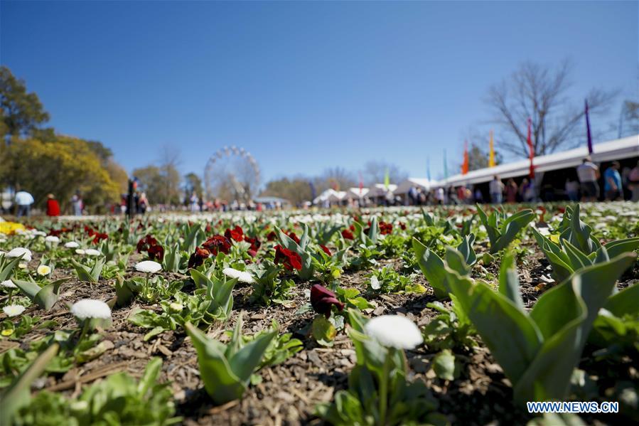 AUSTRALIA-CANBERRA-FLORIADE