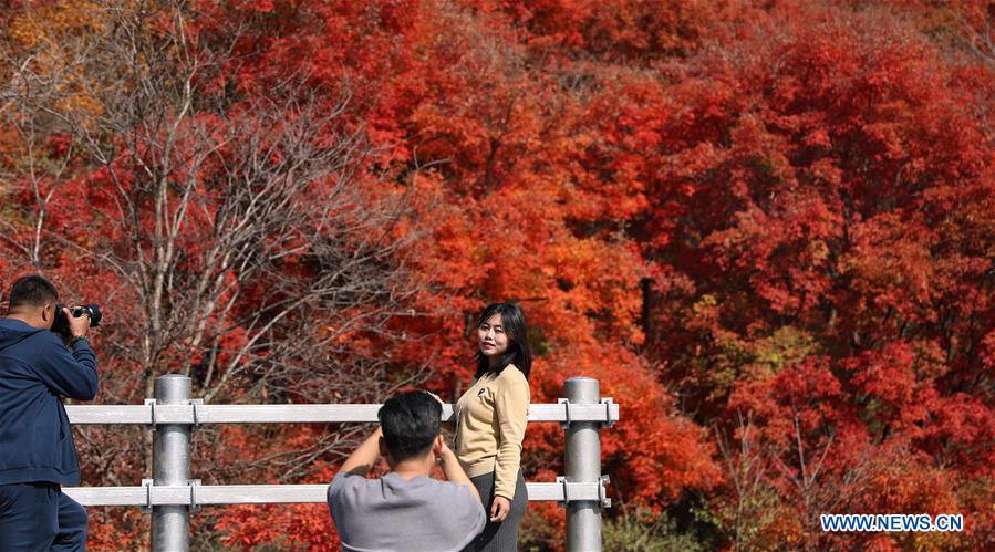 CHINA-LIAONING-AUTUMN SCENERY (CN)