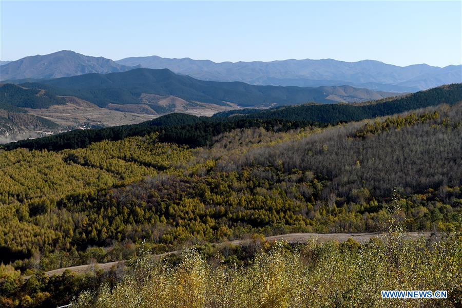 CHINA-INNER MONGOLIA-CHIFENG-SCENERY (CN)