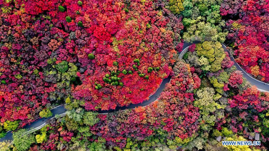 CHINA-SHANDONG-JINAN-AUTUMN SCENERY (CN)